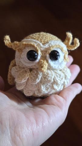 黃永婕 - 貓頭鷹