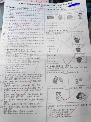 蘇安怡 - 中道國小三年級112年期中考自然成績