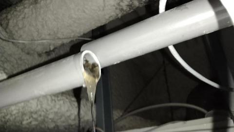 瀧水電 - 排水管路阻塞