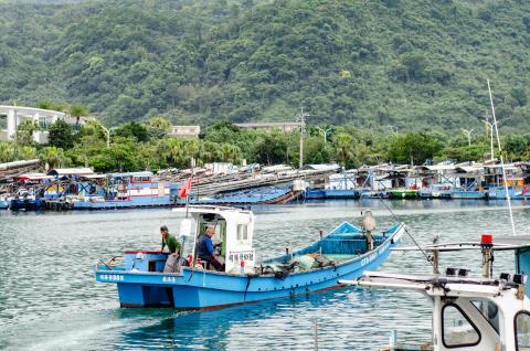 柳樹工作室WilloW - 場景及活動拍攝，可拍人物與景色。