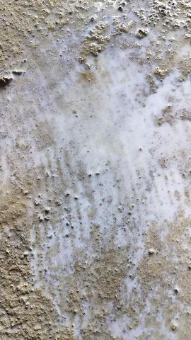 宸玲防水工程 - 故宮博物院行政中心及圖書館地面加厚接著工程