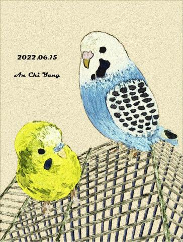 琦思設計 -  琦思設計 -