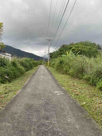 彼得（除草、鋸樹、園藝維護） - 清理完畢