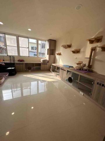 淇淇幫工作室 居家清潔 除草鋸樹(王品之) - 打掃後 淇淇幫工作室 居家清潔 除草鋸樹(王品之) - 打掃後