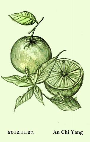 琦思設計 -  琦思設計 -