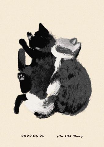 琦思設計 -  琦思設計 -