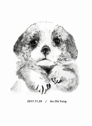 琦思設計 -  琦思設計 -