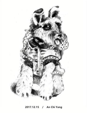 琦思設計 -  琦思設計 -