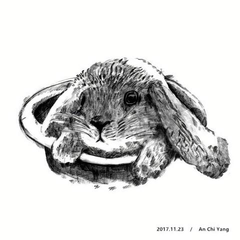 琦思設計 -  琦思設計 -