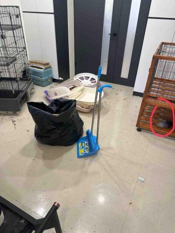 淇淇幫工作室 居家清潔 除草鋸樹(王品之) - 打掃前 淇淇幫工作室 居家清潔 除草鋸樹(王品之) - 打掃前