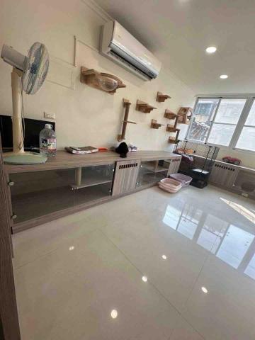 淇淇幫工作室 居家清潔 除草鋸樹(王品之) - 打掃後 淇淇幫工作室 居家清潔 除草鋸樹(王品之) - 打掃後