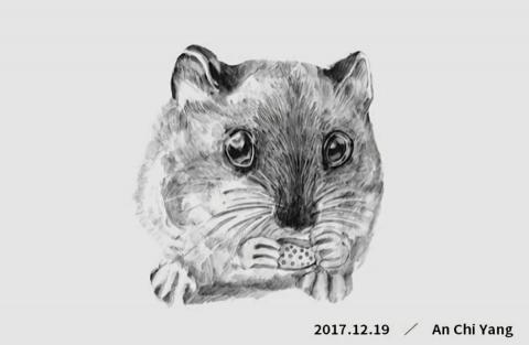 琦思設計 -  琦思設計 -