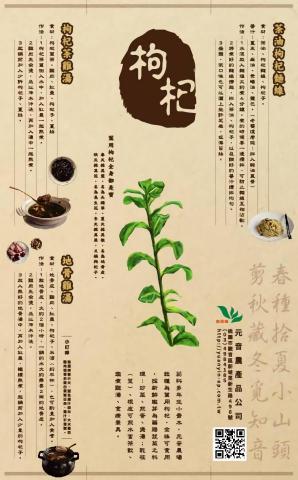 琦思設計 -  琦思設計 -