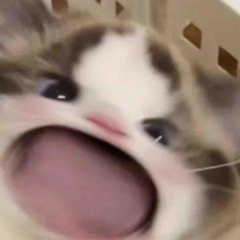 提供120服務的專家lulu