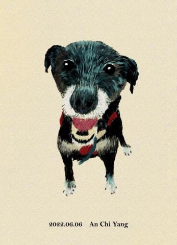 琦思設計 -  琦思設計 -