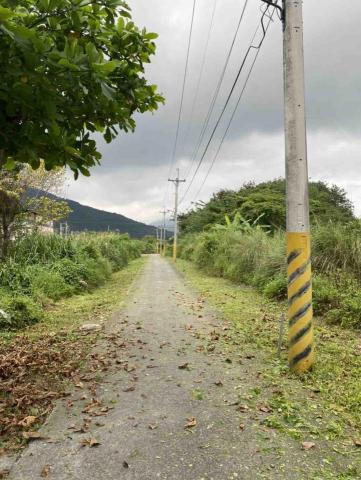 彼得（除草、鋸樹、園藝維護） - 除草完畢準備清潔路面