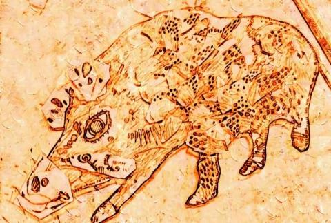 琦思設計 -  琦思設計 -