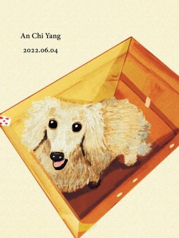 琦思設計 -  琦思設計 -