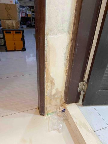 虹力工程 -  虹力工程 -