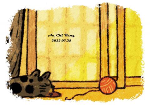 琦思設計 -  琦思設計 -