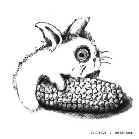 琦思設計 -  琦思設計 -