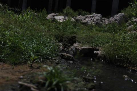 陳俊源 - 攝影作品《小小世界》