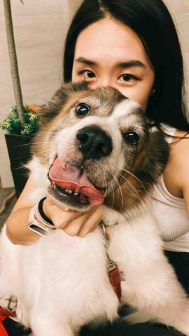 提供餐點服務的專家史嘉蕾