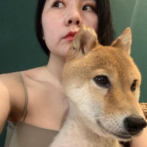 提供ssd救援服務的專家kat liu