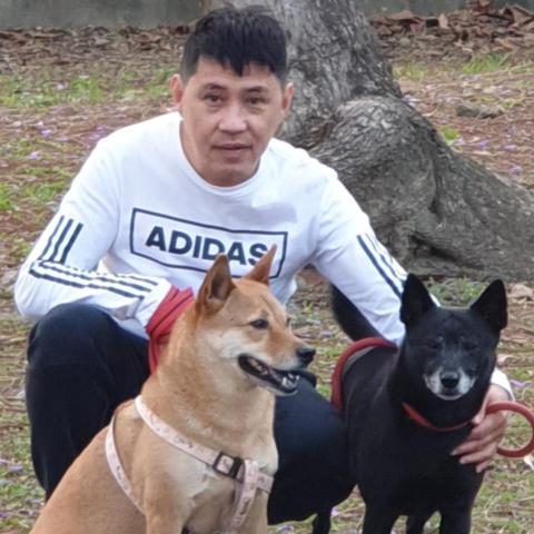 提供寄養服務的專家林宥承