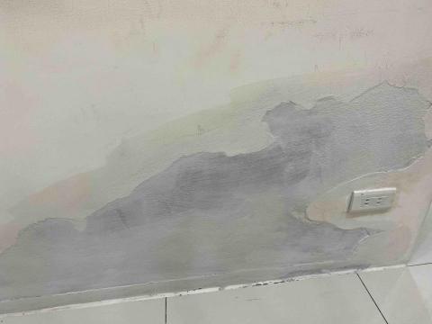 虹力工程 -  虹力工程 -