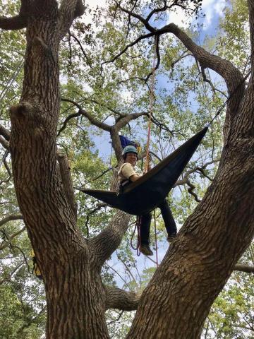 戶外運動 蔡老師 - 成人/兒童攀樹體驗,從樹冠層看世界! 戶外運動 蔡老師 - 成人/兒童攀樹體驗,從樹冠層看世界!