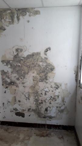 吳宗達 - 牆面壁癌處理