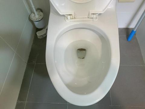 炘煜美居企業社 - 馬桶污垢清潔前