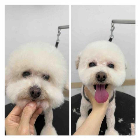 個人服務（未有公司） - 