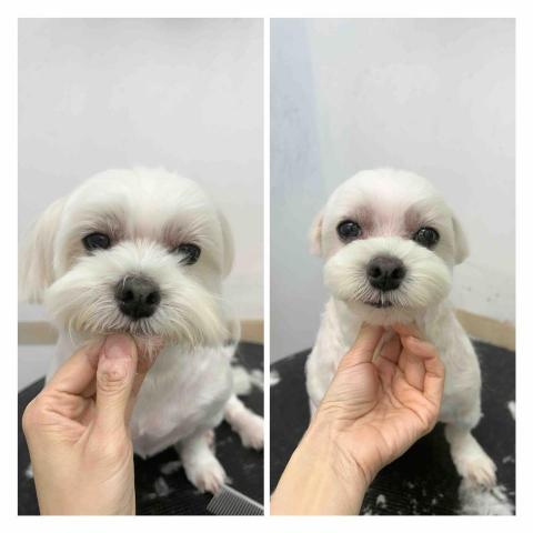 個人服務（未有公司） - 