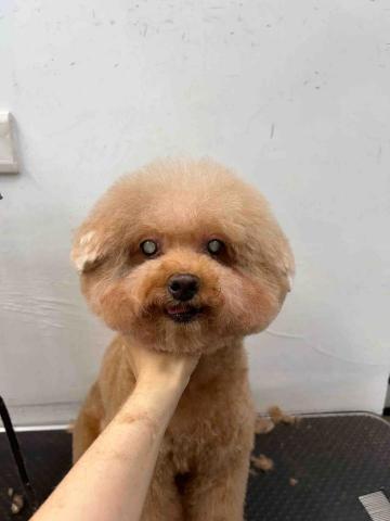 個人服務（未有公司） - 