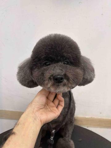 個人服務（未有公司） - 