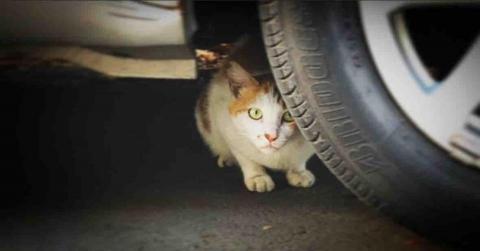 Ry - 作品｜捕捉瞬間