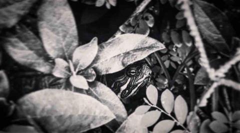 Ry - 作品｜捕捉瞬間