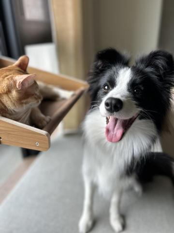 謝怡慧 - 服務紀錄美美照