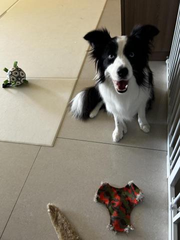 謝怡慧 - 丟玩具放電