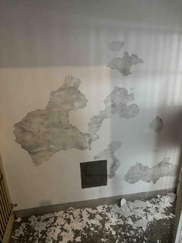 建均工程 - 壁癌處理 建均工程 - 壁癌處理