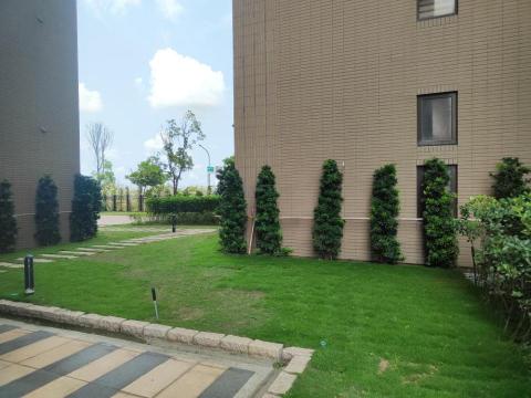 台南園藝行 - 草皮灌木維護