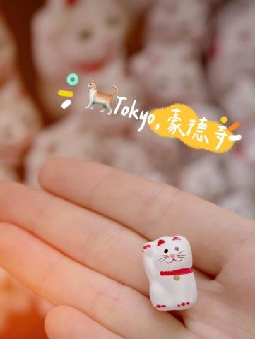 coconut - ⋆⁺₊#旅遊特色shors後製⋆⁺₊#日本旅遊⋆⁺₊
https://www.youtube.com/shorts/6XNYHU2sOqQ