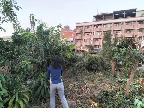 鄭苡淇 - 移除全部植物環境整理