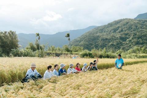 高義豪 - 銀川肥米粒市集
