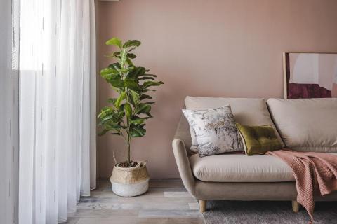 安申室內裝修設計有限公司 -  安申室內裝修設計有限公司 -