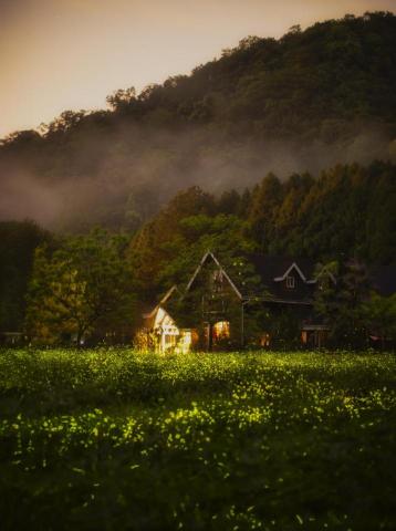 卡洛特 - 螢火蟲