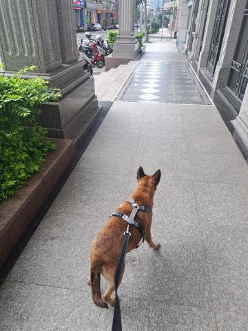 郭晉 - 客戶寄養米克斯