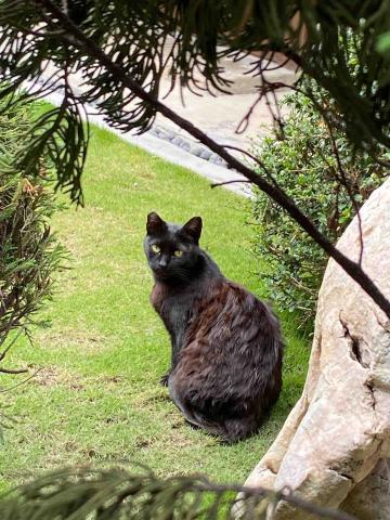 提供新店行政園區服務的專家Alina